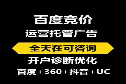 成功案例解析：SEM竞价托管助力企业品牌升级